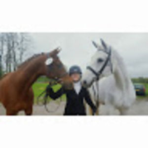 Meet your Posher, Mckinsey